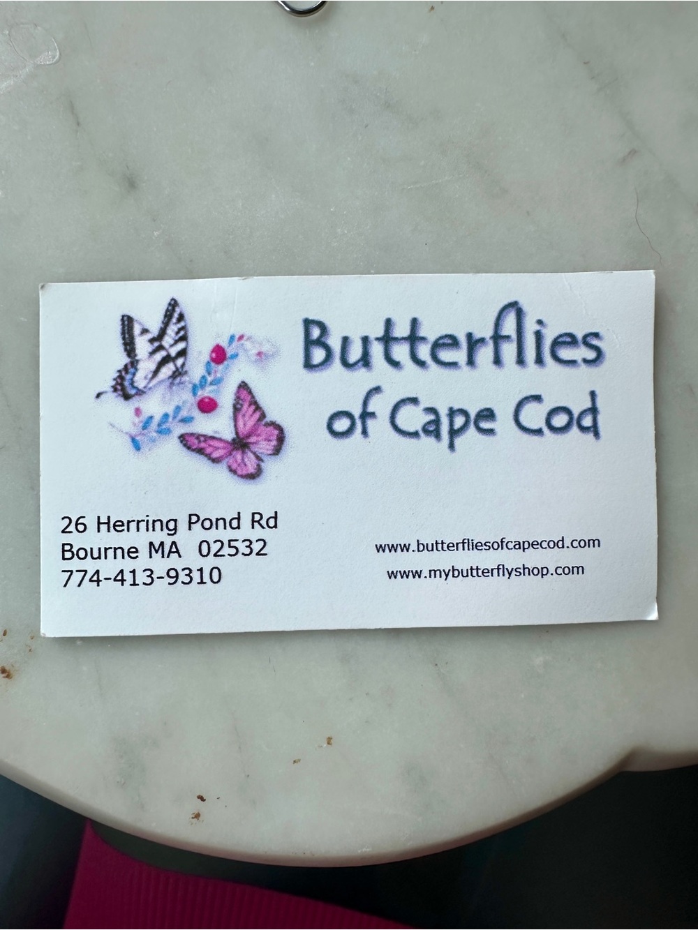 Reversible Silver Butterfly Pendant with Blue-Green and Camouflage Wings - Picture 4 of 5